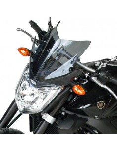 Saute vent YAMAHA 1000 FZ1 - 2006/2014 