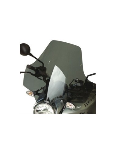 Pare-brise BMW R 1200 R Euroscreen - 2006/2010 