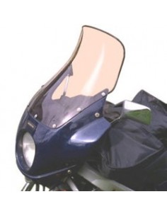 Bulle haute protection DIVERS RICARD (avec becquet) - 2002/2006 