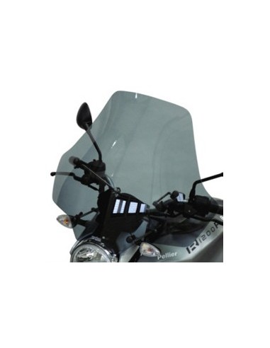Pare-brise BMW R 1200 R Euroscreen - 2006/2010 