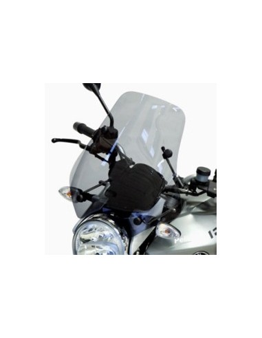 Pare-brise BMW R 1200 R Mini Rangers - 2006/2010 