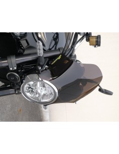 Saute-vent KAWASAKI Z900RS - 2018/2019 