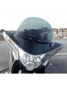 Bulle Gran tourism 18 pouces VICTORY VISION - 2009/2016 